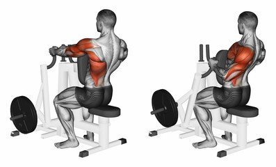 Cable row machine sale